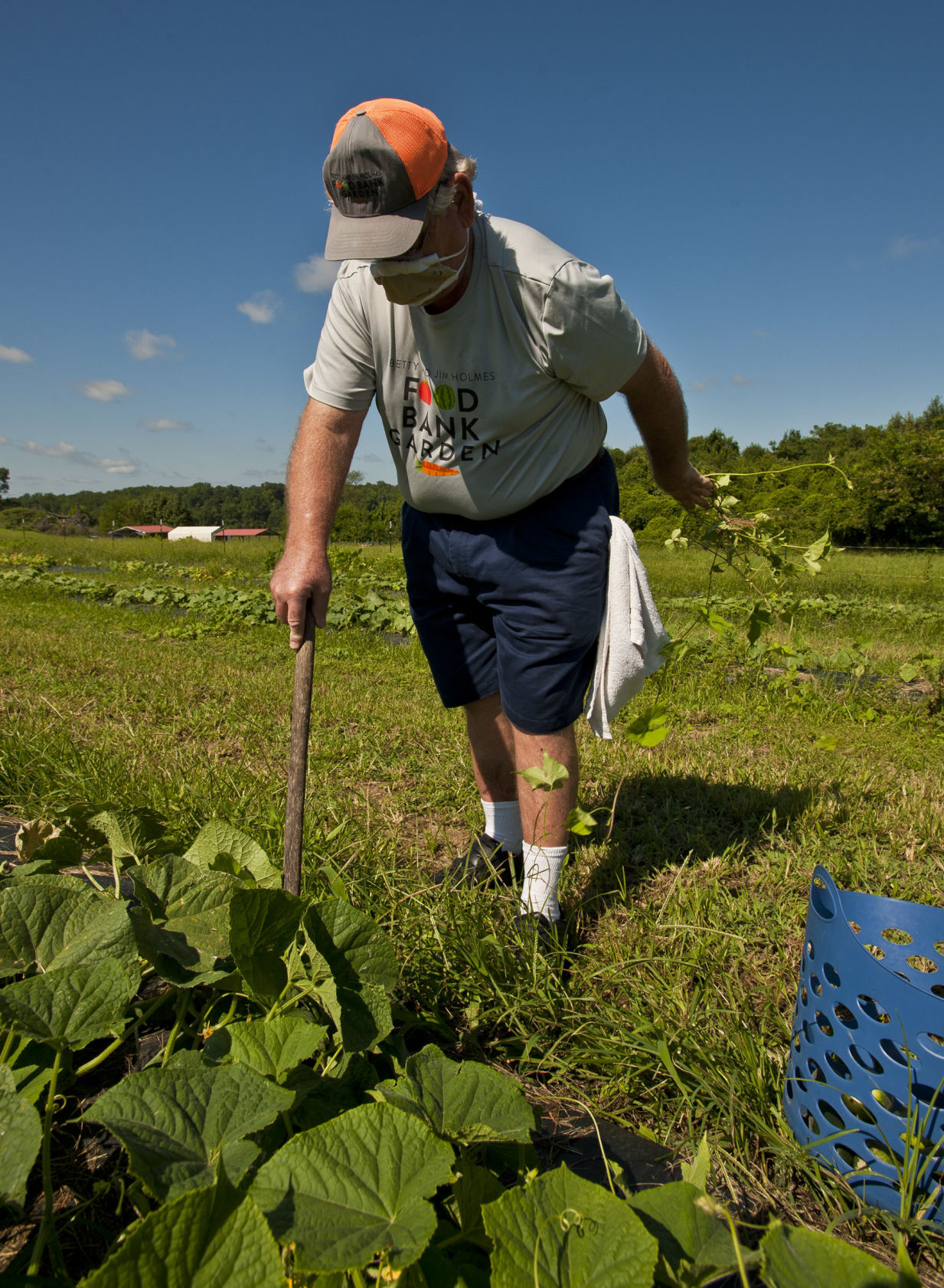 Food Bank garden